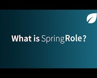 Springworks (previously SpringRole) media 1