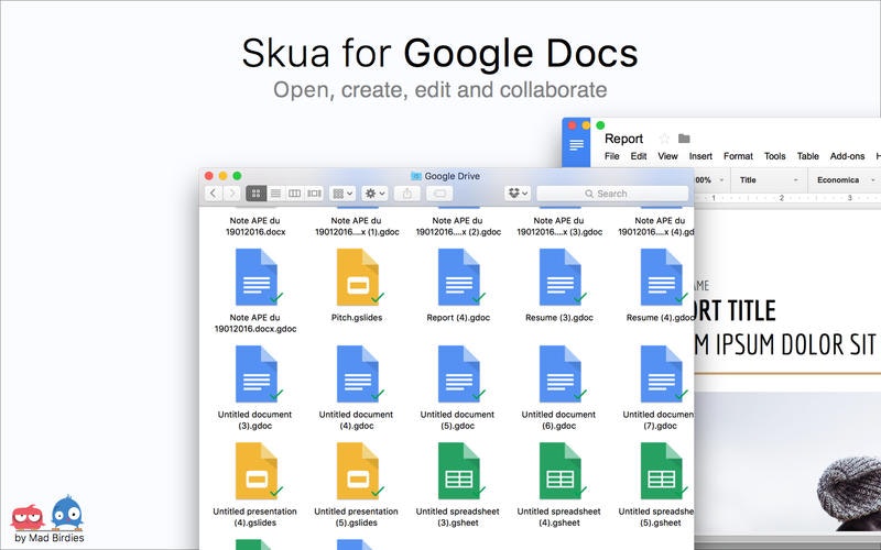 Skua for Google Docs gallery image