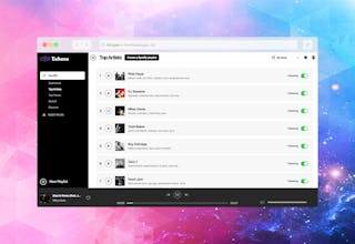 Echoes for Music Discovery gallery image