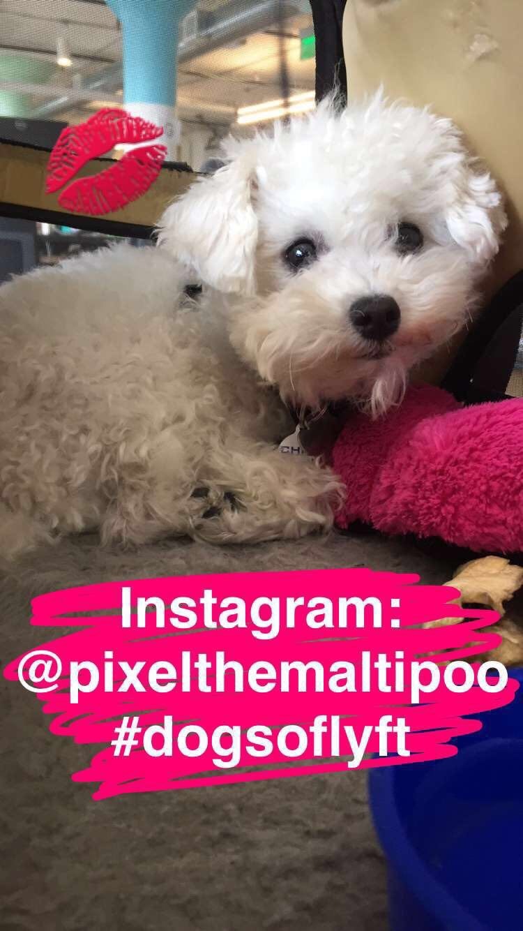 CutesyTV gallery image