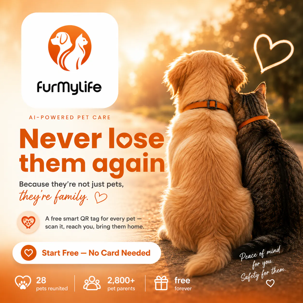 FurMyLife gallery image