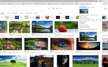 Truthlens AI Image analyzer gallery image