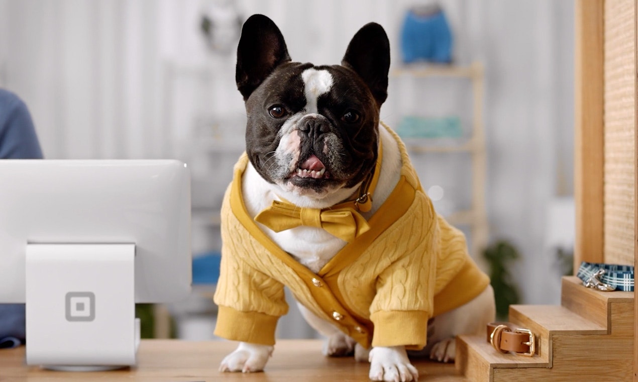 Vidico gallery image