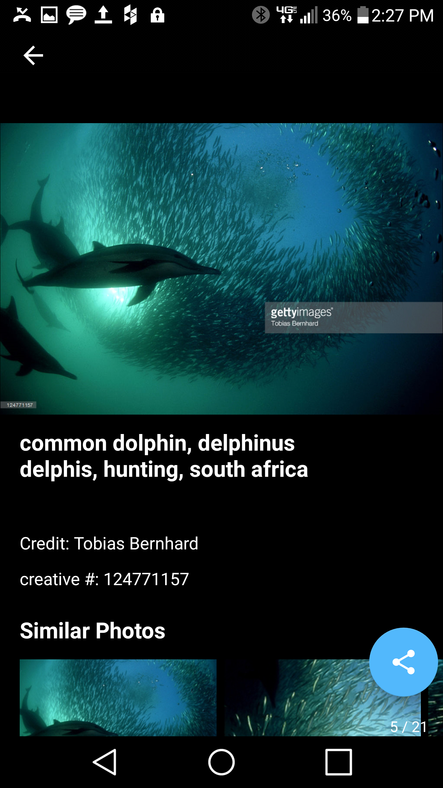 Getty Images for Android gallery image