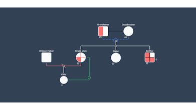 FamilyAxis - Genogram Creator gallery image