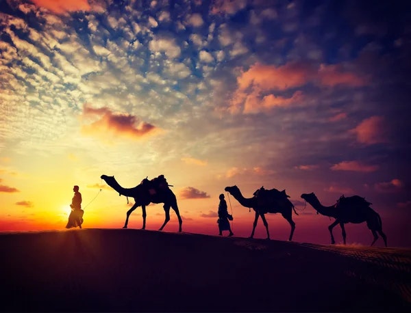 Rajasthan Tenders Medien 3