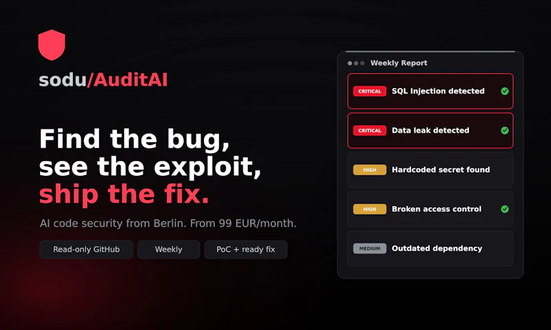Sodu /AuditAi screenshot 1