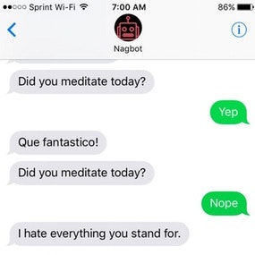 Nagbot Image