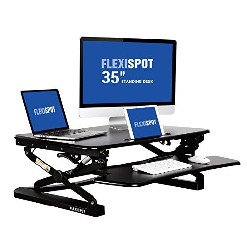FlexiSpot Standing Desks