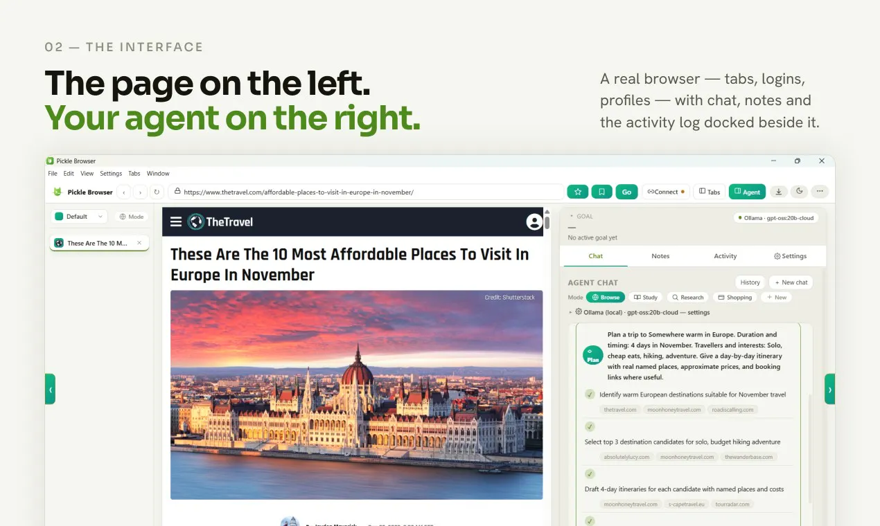 Pickle Browser gallery image