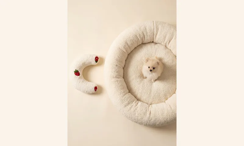 PawCalm screenshot 3