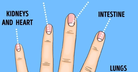 Scientific Study Result