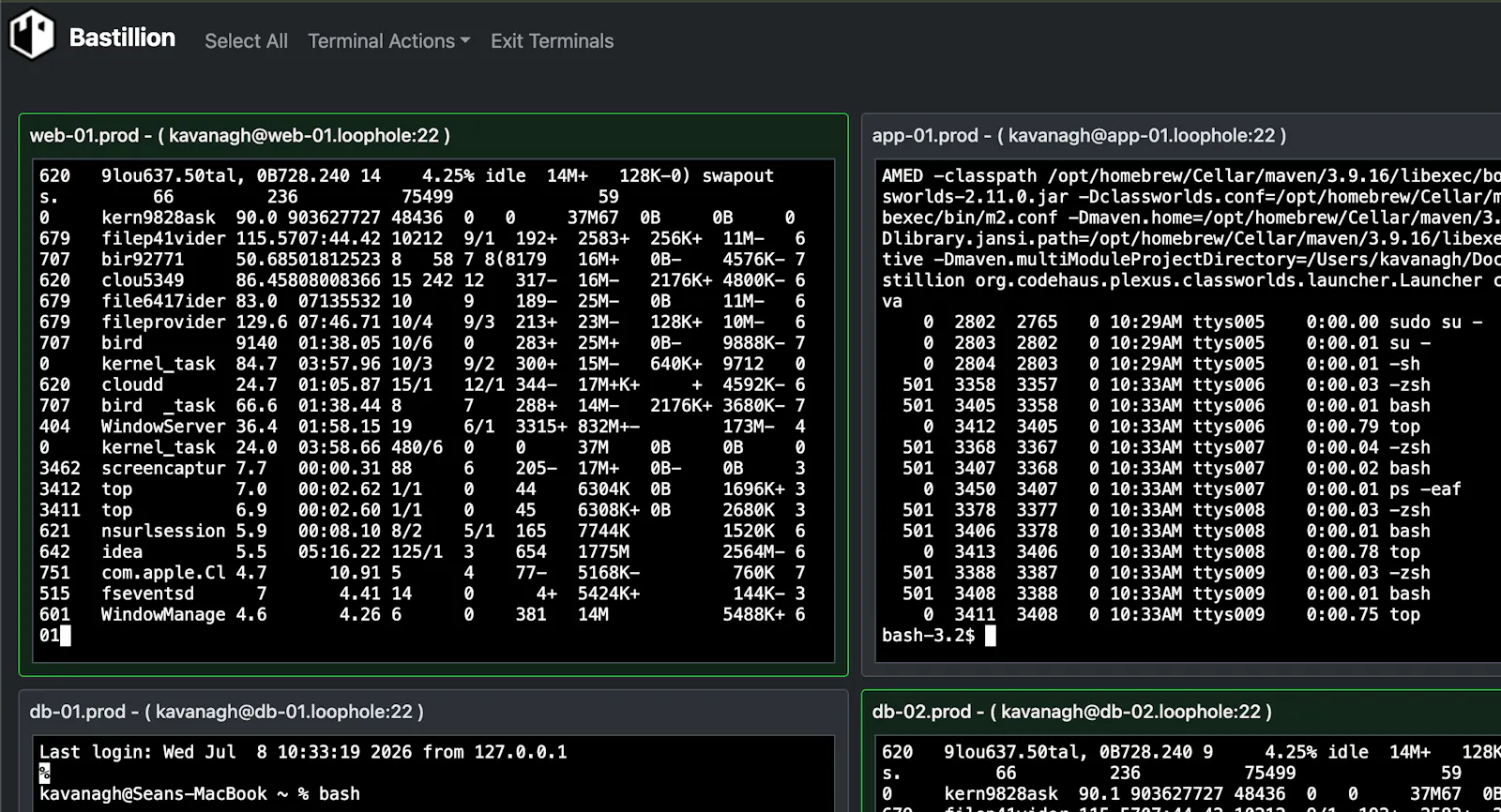 Bastillion screenshot 1