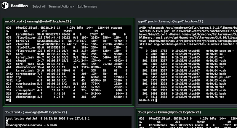 Bastillion screenshot 1