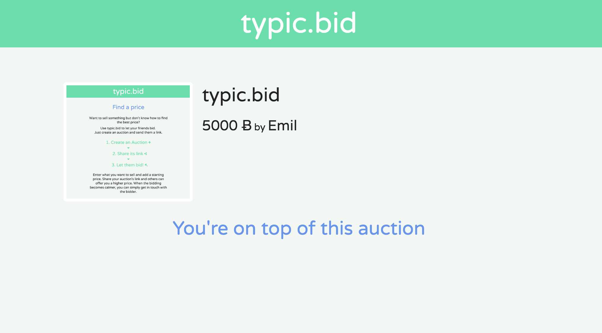 typic.bid gallery image