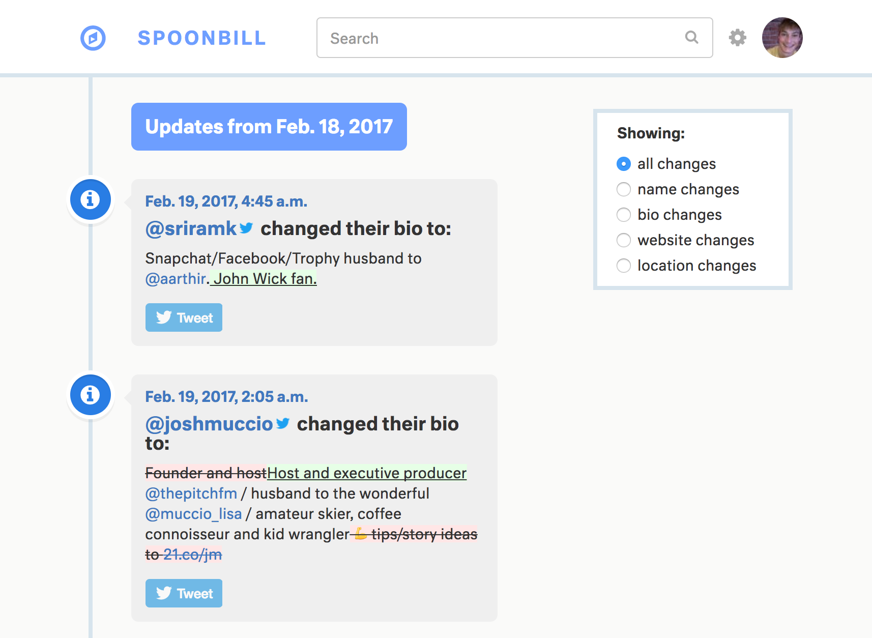 Spoonbill Image
