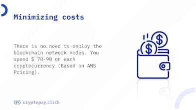 CryptoPay.click gallery image