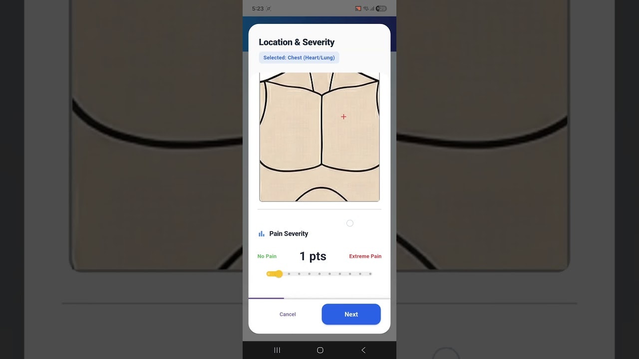 Body Signal: Pain tracker gallery image