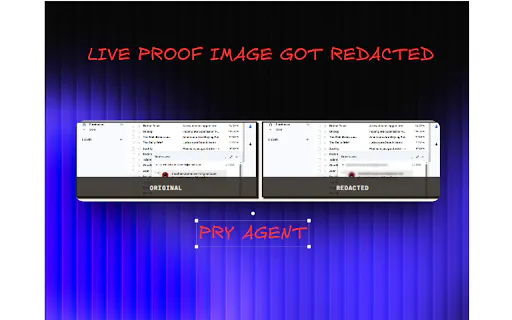 PRY Agent gallery image