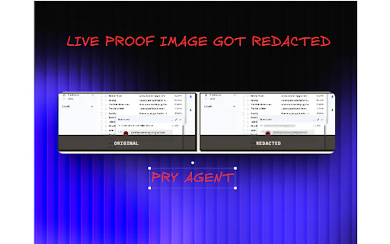 PRY Agent screenshot 4