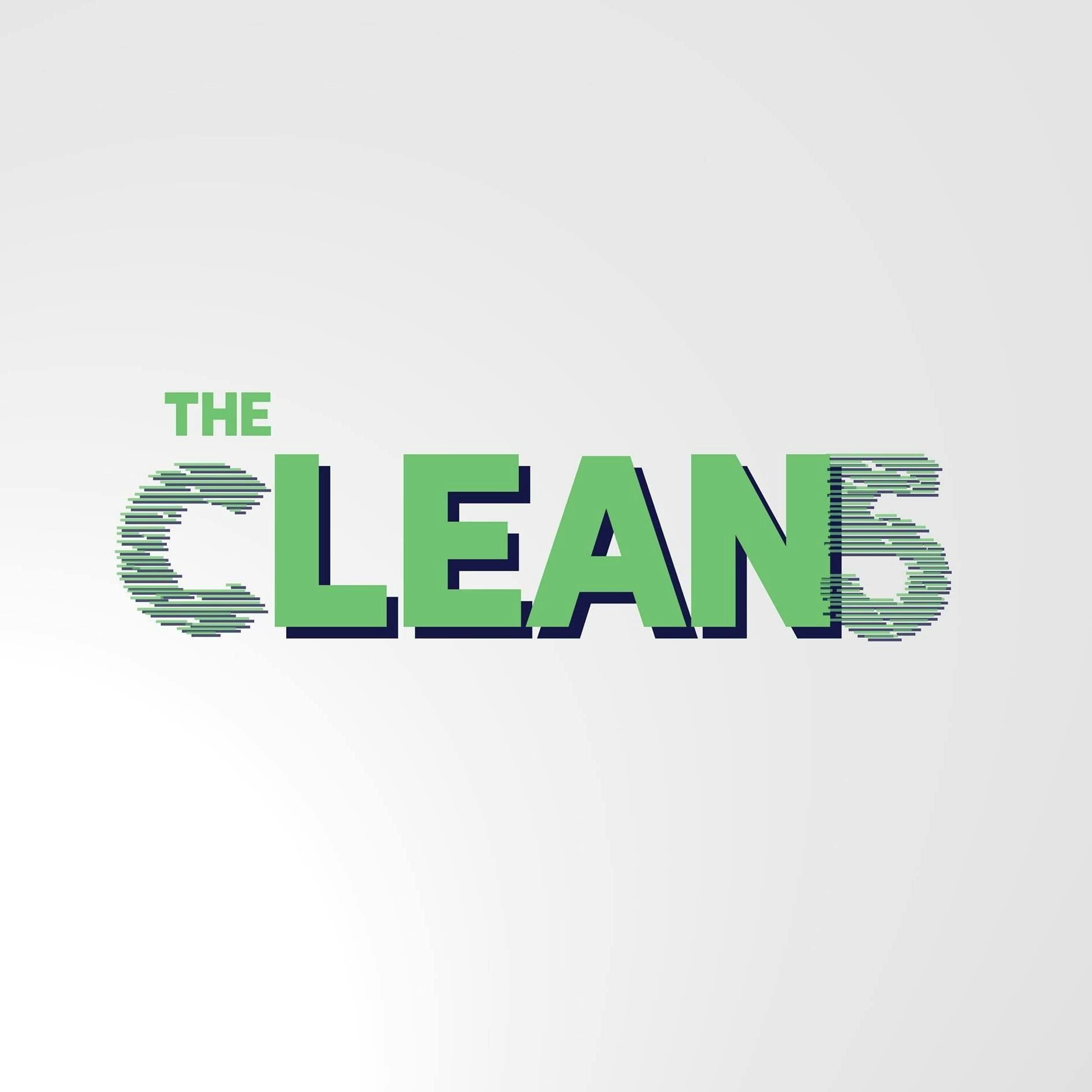 The Clean 5