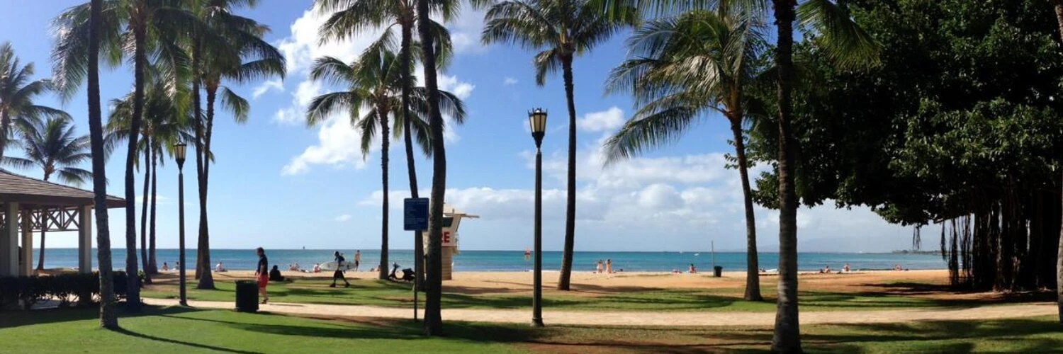 ✨ Kai Davis ✨ cover