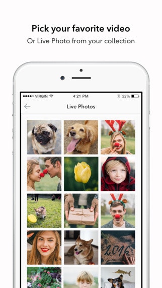 MagePrints gallery image