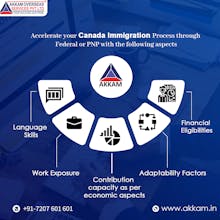 Akkam Overseas gallery image