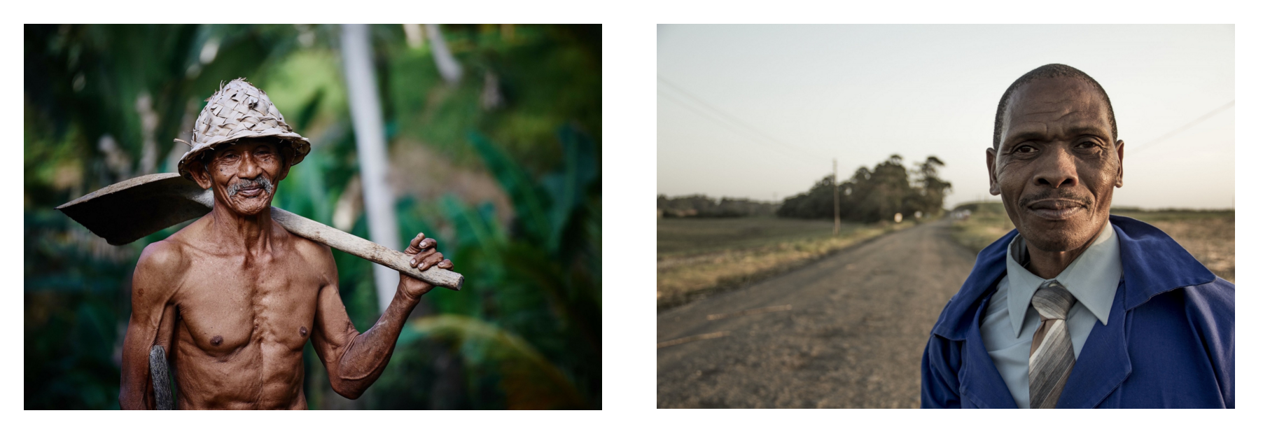 Contents gallery image