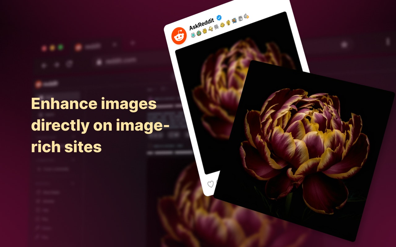 Enhanced Image Viewer gallery image
