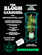 The Bloom Carousel gallery image