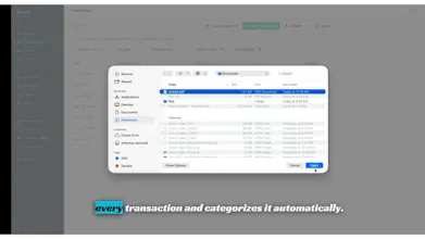 Zirano — Your CFO, from $19 a month. gallery image