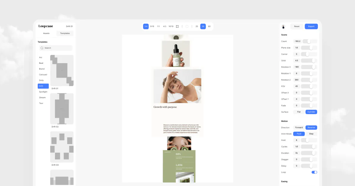 Loopcase