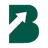 BryZora Uptime Monitoring Services