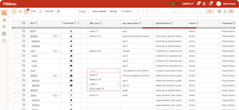 PIMinto gallery image