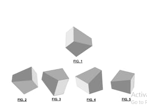 Verreaux gallery image