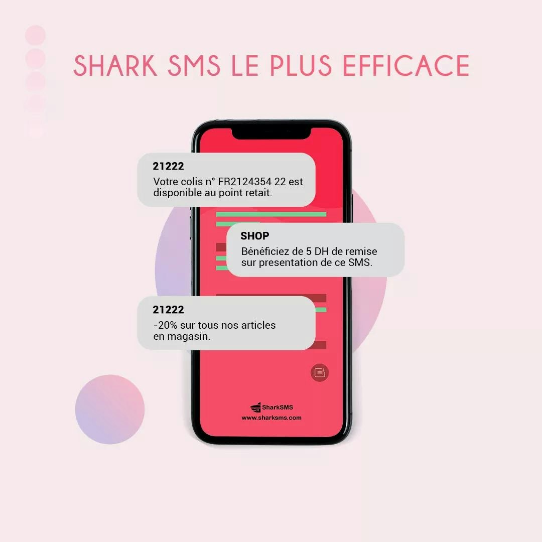 Turn your smartphone to Bulk SMS server gallery image