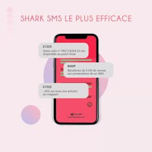 Turn your smartphone to Bulk SMS server gallery image