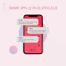 Turn your smartphone to Bulk SMS server gallery image