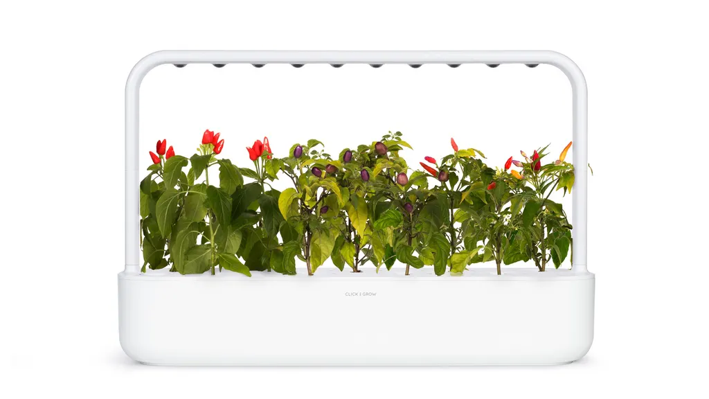 The Smart Garden