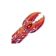 MoltShell