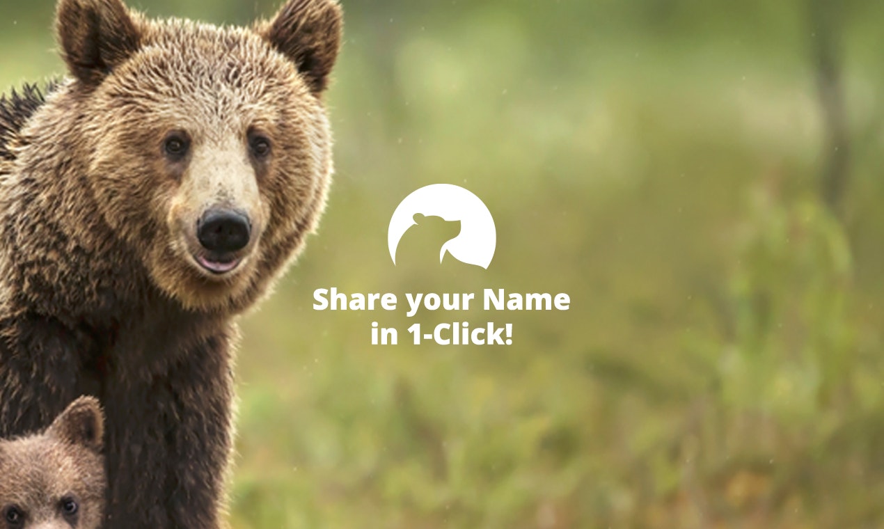 Numbear gallery image