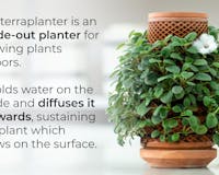 terraplanter media 3