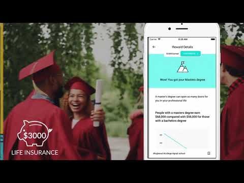 Avibra gallery image