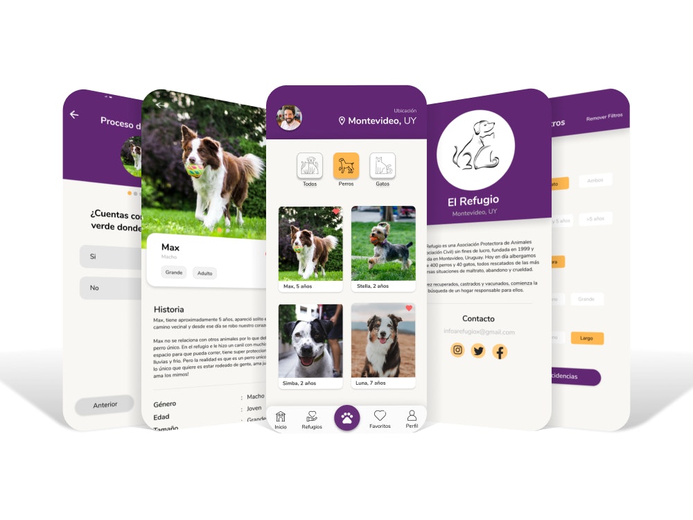 KatDog gallery image