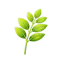 RepBud
