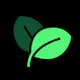 Sprout