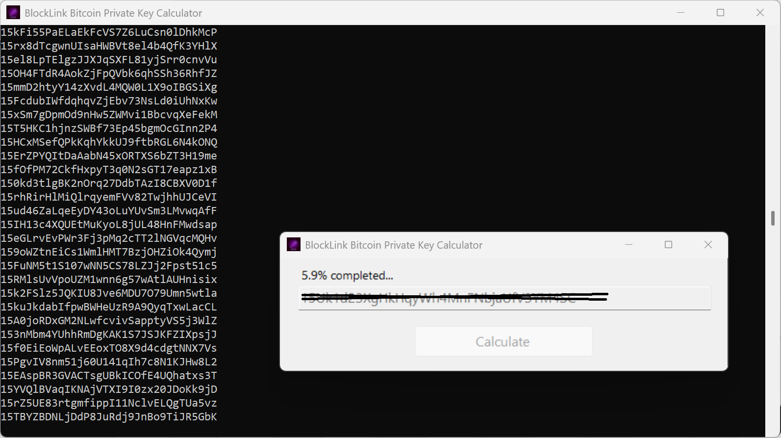 BlockLink Bitcoin Private Key Calculator - Main product screenshot demonstrating key features and user interface