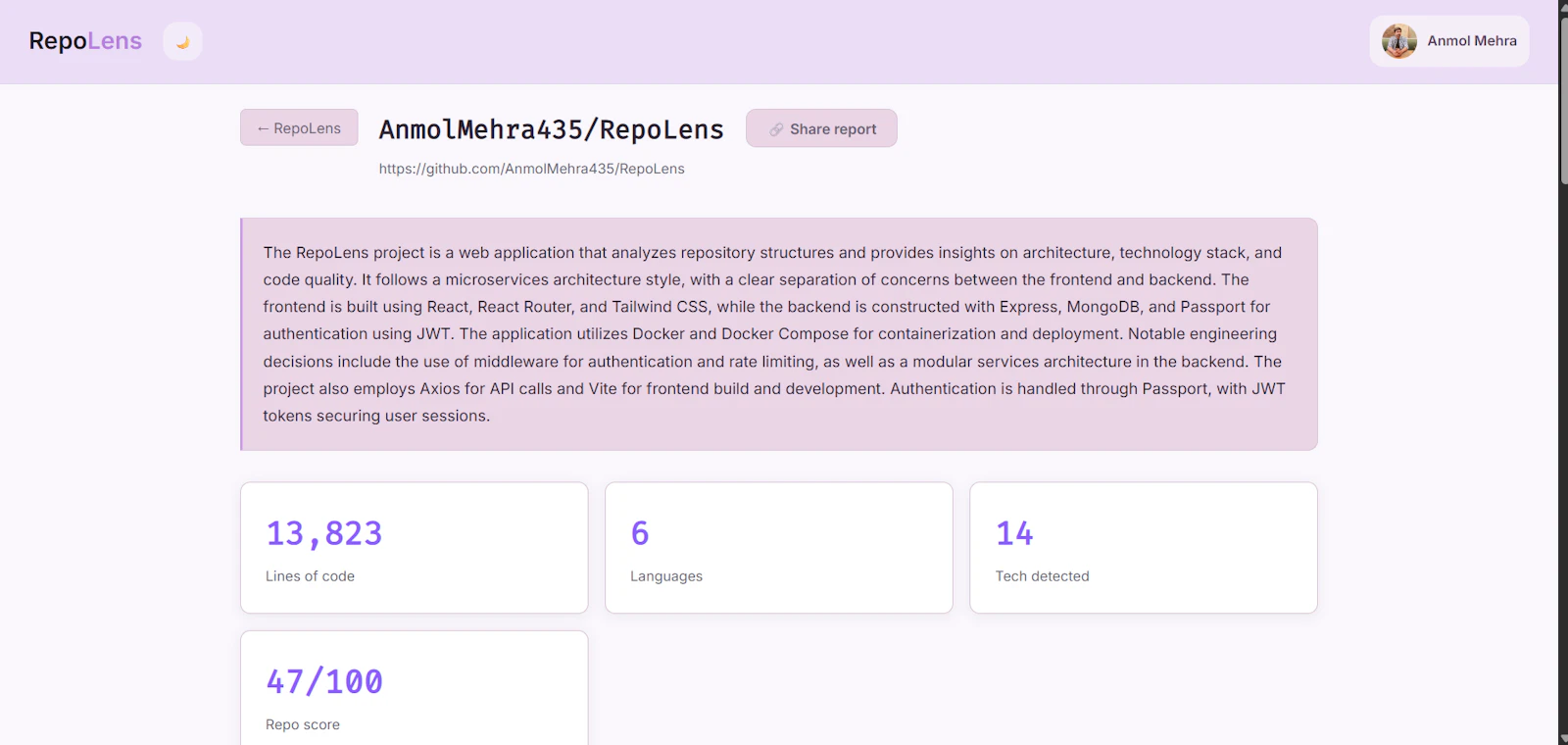 RepoLens screenshot 2