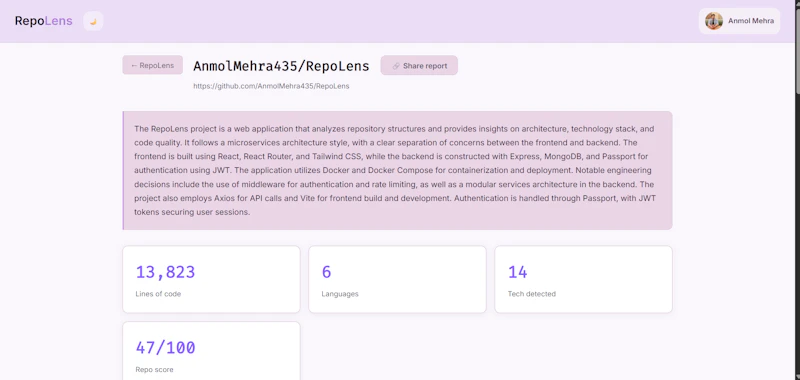 RepoLens screenshot 2